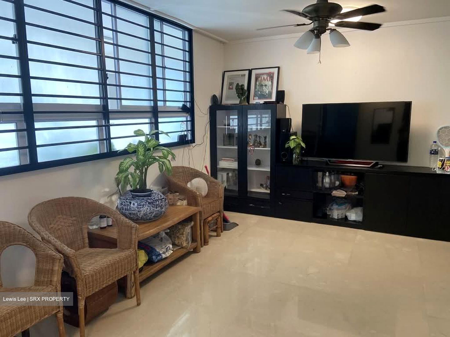 Cassia View (D14), Apartment #551958261